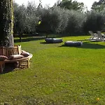 Country Milojevic *