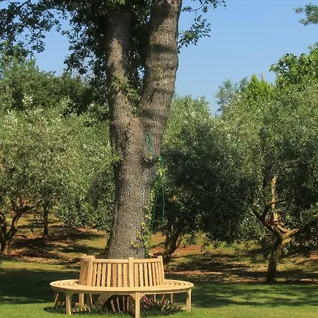 Country Milojevic Country house *