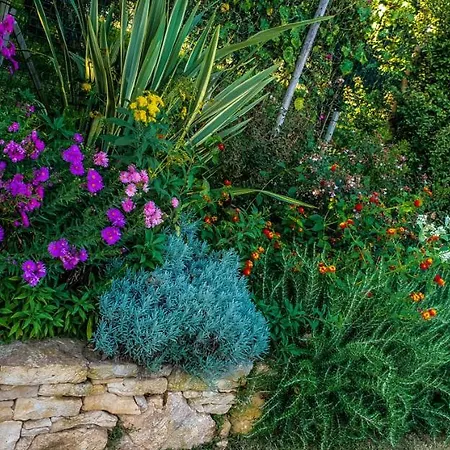 Country house Country Milojevic