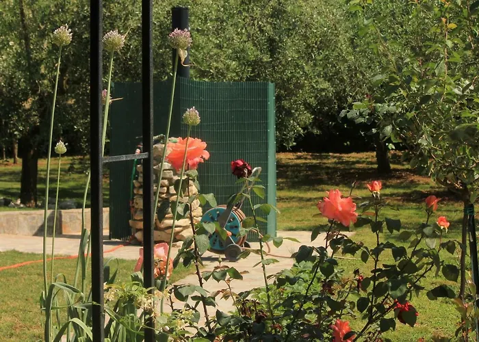 Country Milojevic 컨트리하우스