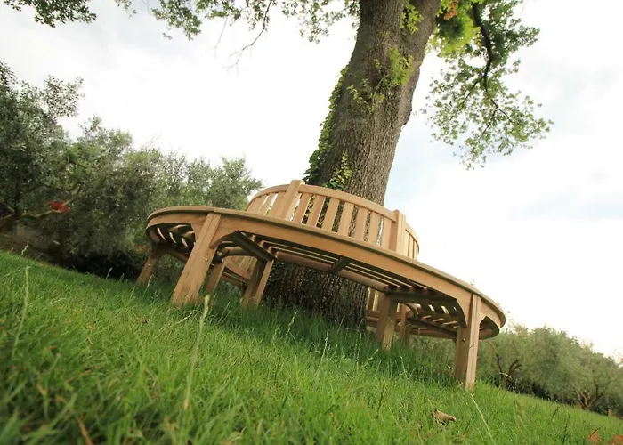 Country Milojevic 메덜린