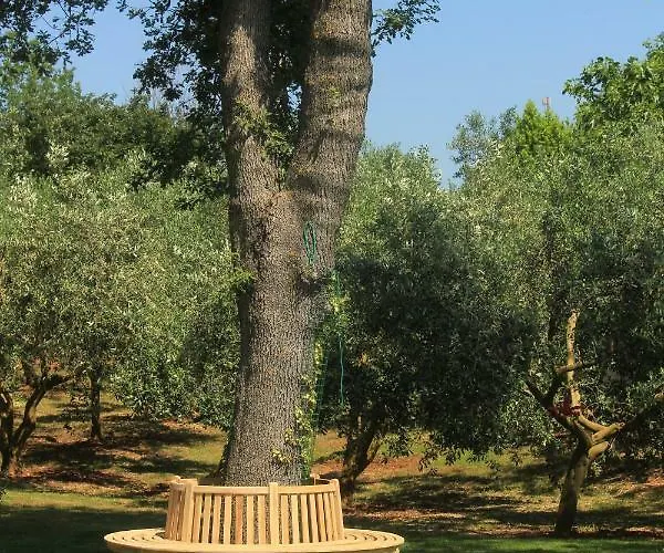 Country Milojevic Country house *