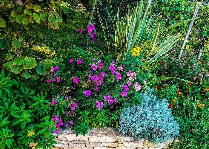 Country Milojevic Country house Medulin